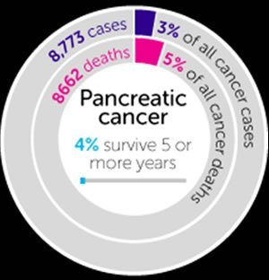 Infographic - Cancer Facts